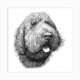 Komondor Dog Line Sketch 2 Art Print