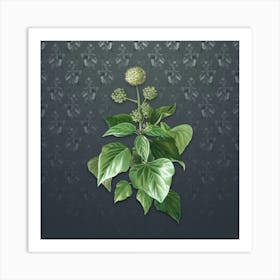 Vintage Common Ivy Botanical on Slate Gray Pattern n.1124 Art Print