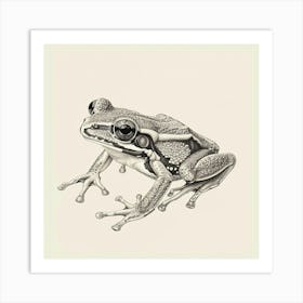 Tree Frog Art Print