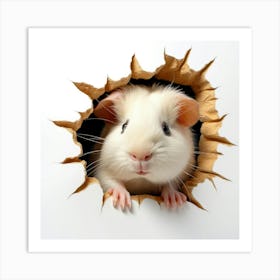 Guinea Pig 16 Art Print