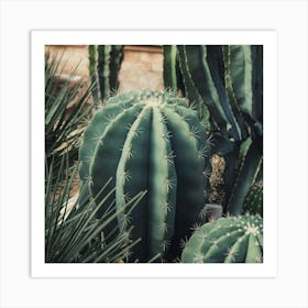 Cactus Garden 1 Art Print