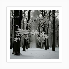 Snowy Forest 2 Art Print