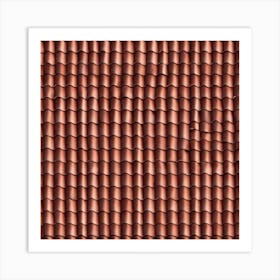 Tiled Roof 3 Art Print