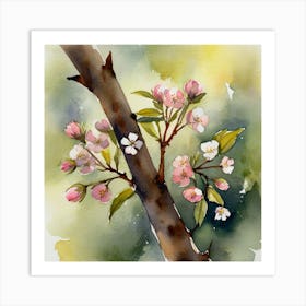 Watercolor Of Apple Blossoms Art Print