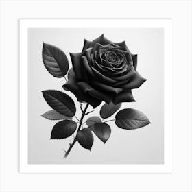 Black Rose 7 Art Print