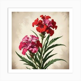 Sweet William Floral Botanical Vintage Poster Flower Art Print Art Print