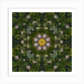 Thistle Mandala Art Print