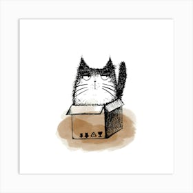 Cat In A Box Art Print