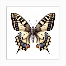 Butterfly of Papilio machaon 4 Art Print