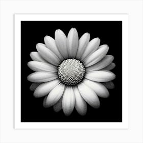 Daisy 2 Art Print