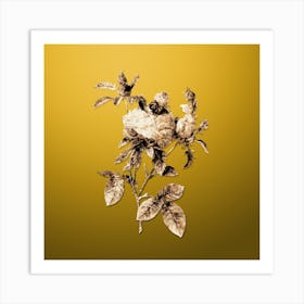 Gold Botanical Cabbage Rose on Mango Yellow Art Print