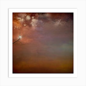 Photograph - Sky With A Tree Art Print