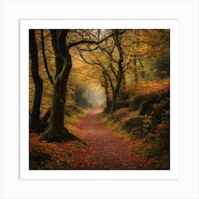 Path In The Woods 3 Art Print