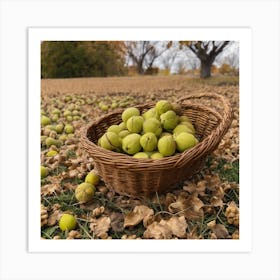 Basket Of Walnuts Art Print