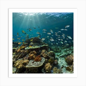 Default Various Beautiful Fish Seen From Inside The Sea At The 3 Art Print