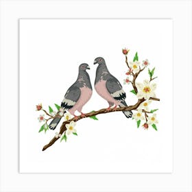 Pigeons On A Branch Art Print