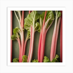 Rhubarb 89 Art Print