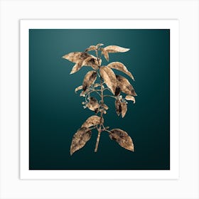 Gold Botanical Chilean Wineberry Branch on Dark Teal n.3616 Art Print