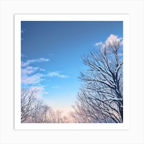 Winter Trees Stock Videos & Royalty-Free Footage Art Print
