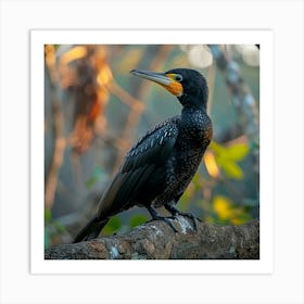 Cormorant Cormorant Art Print