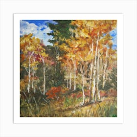 Birch forest Art Print