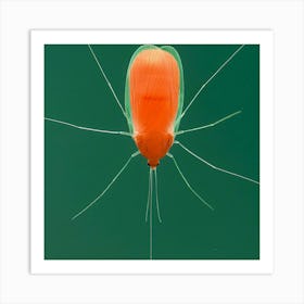 Mosquito - Mosquito Stock Videos & Royalty-Free Footage Art Print