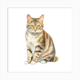 American Polydactyl Cat Portrait 3 Art Print