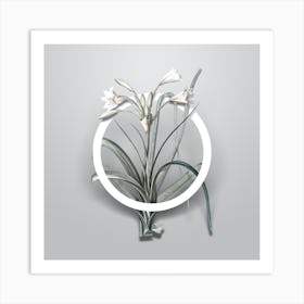 Vintage Malgas Lily Minimalist Floral Geometric Circle on Soft Gray n.0356 Art Print