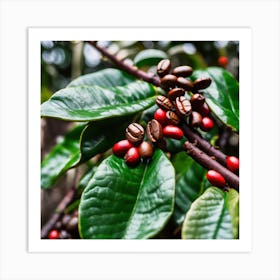 Coffee Beans On A Tree 57 Art Print