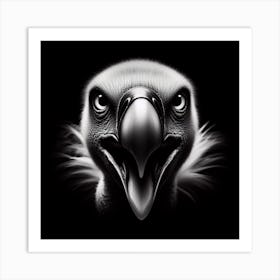 Vulture 4 Art Print