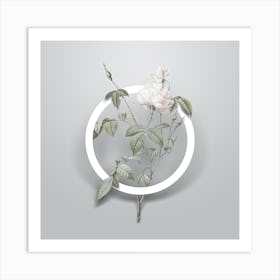 Vintage White Bengal Rose Minimalist Flower Geometric Circle on Soft Gray n.0049 Art Print