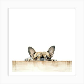 French Bulldog Peeking Over The Fence Art Print