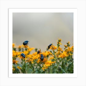 Beetle On Yellow Flower Art Print