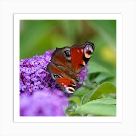 Butterfly Bush Art Print