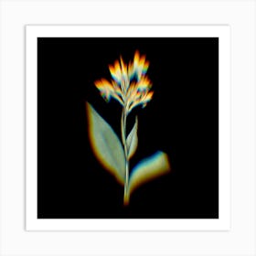 Prism Shift Water Canna Botanical Illustration on Black n.0269 Art Print