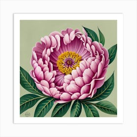 Pink Peony Art Print