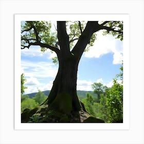 Tree Stock Videos & Royalty-Free Footage Art Print