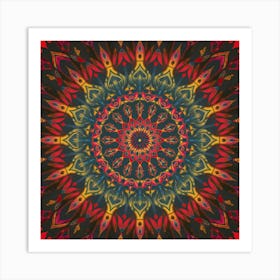 Mandala 17 Art Print