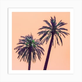 Palm Trees Against A Pink Sky Art Print