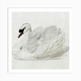 Swan s Art Print