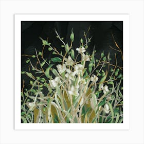 White Orchids 1 Art Print