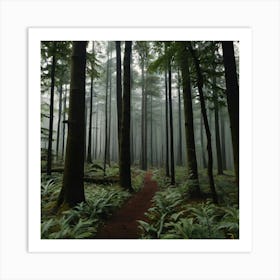 Foggy Forest Art Print