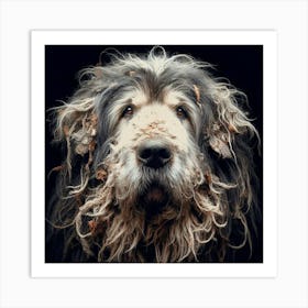 Old Dog 010 Art Print