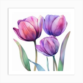 Watercolor Tulips 4 Art Print