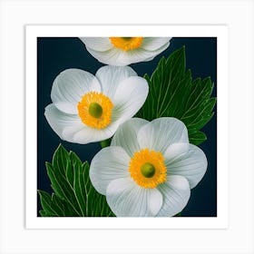 White Anemones Art Print