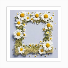 Daisy Frame 3 Art Print