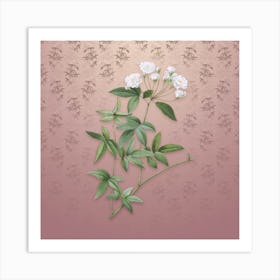 Vintage Lady Bank's Rose Botanical on Dusty Pink Pattern Art Print