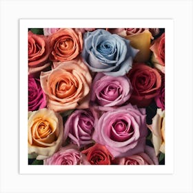 Colorful Roses 37 Art Print