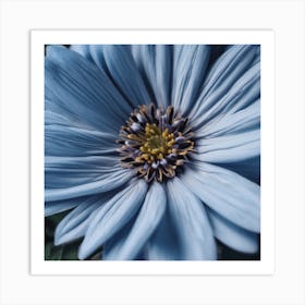 Blue Daisy Art Print