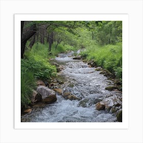 Gentle Mountain Stream Winding Through A Forest Art Print